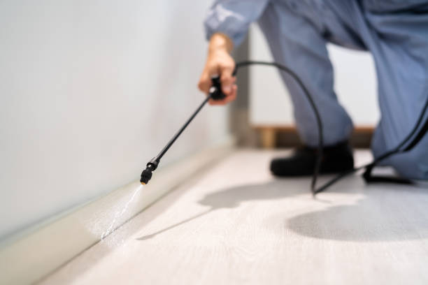 Bed Bug Pre-Treatment Preparation Assessment in Loyalhanna