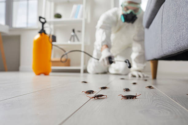 Post-Treatment Bed Bug Interceptor Monitoring in Loyalhanna